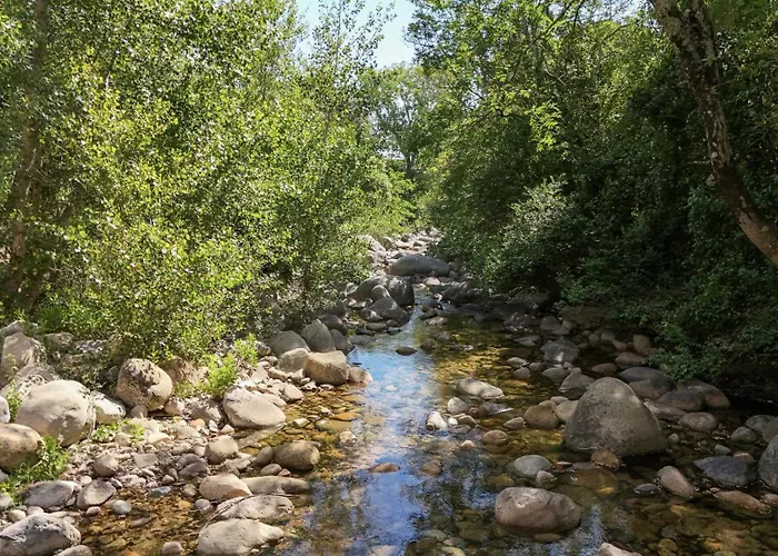 Arena Porto-Vecchio (Corsica)